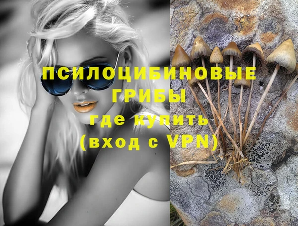 спайс Алексин