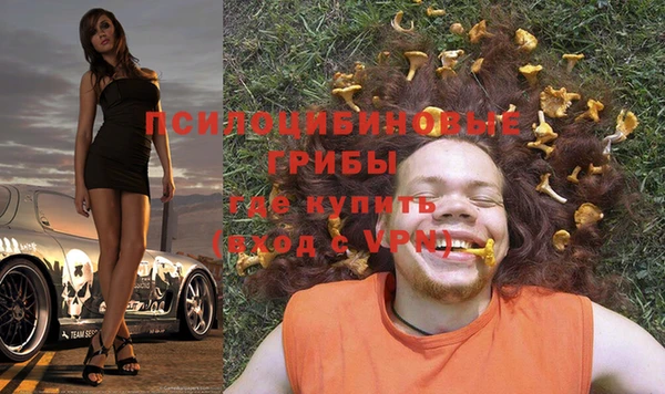 спайс Алексин