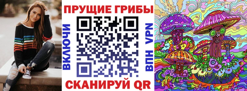 цены   Карабаш  Галлюциногенные грибы Cubensis 